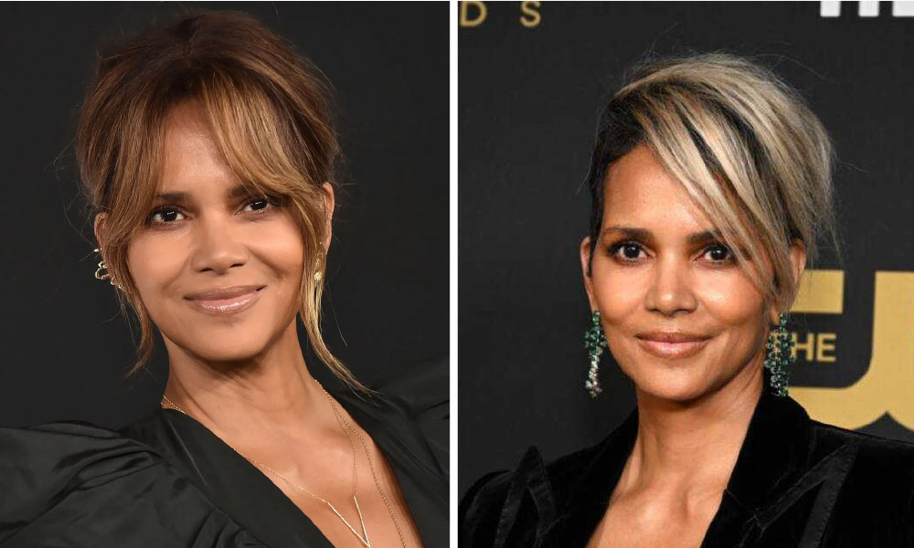 Heidi Berry-Henderson: Everything You Should Know About Halle Berry’s Sister